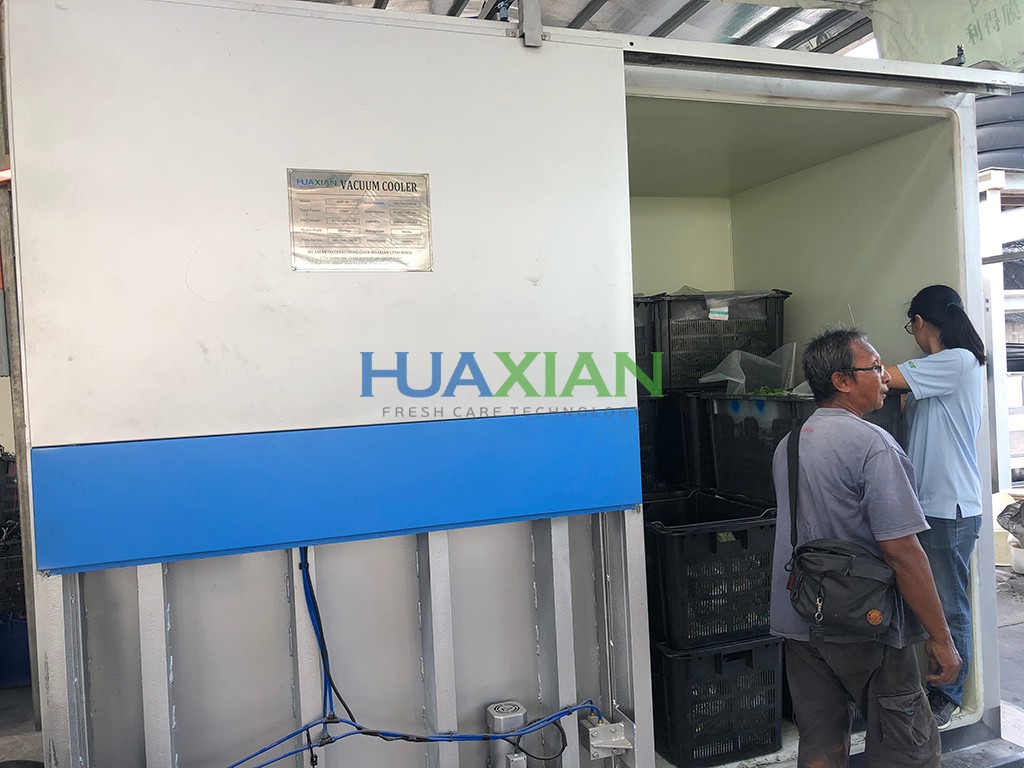 Vacuum cooling machine for malaysian customer